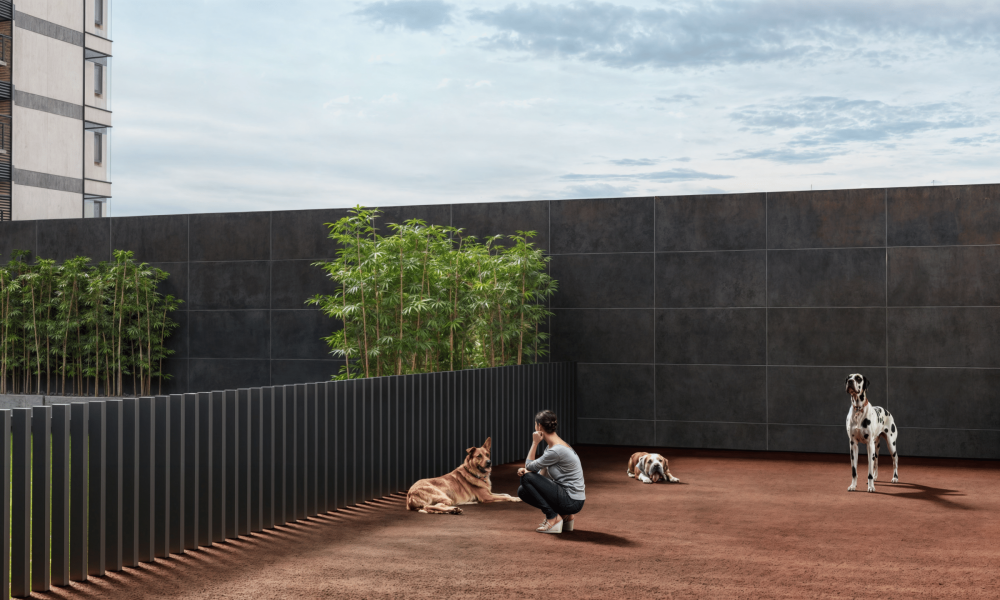 09_PetZone