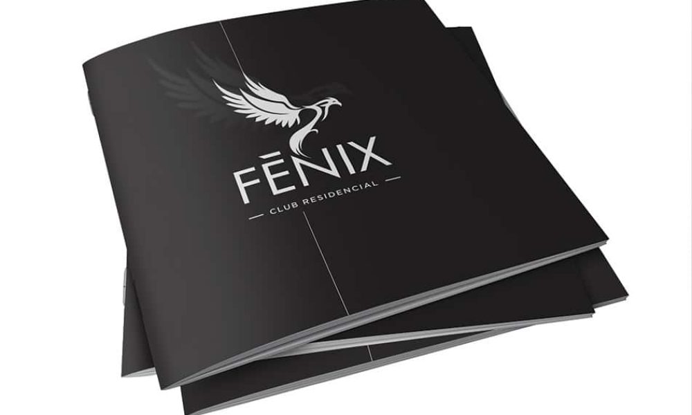 conceptualizacionybranding01141