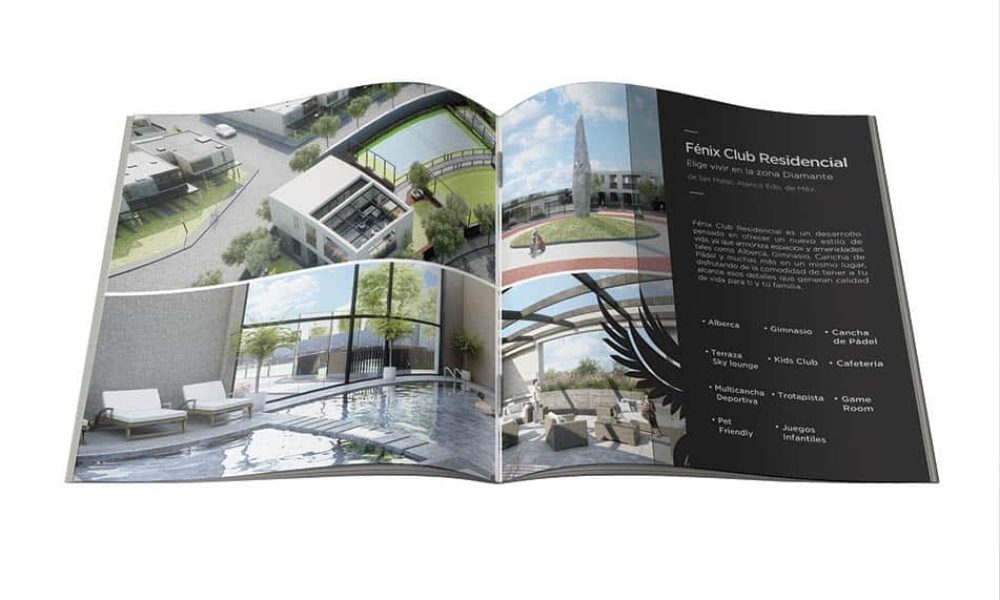 conceptualizacionybranding01142
