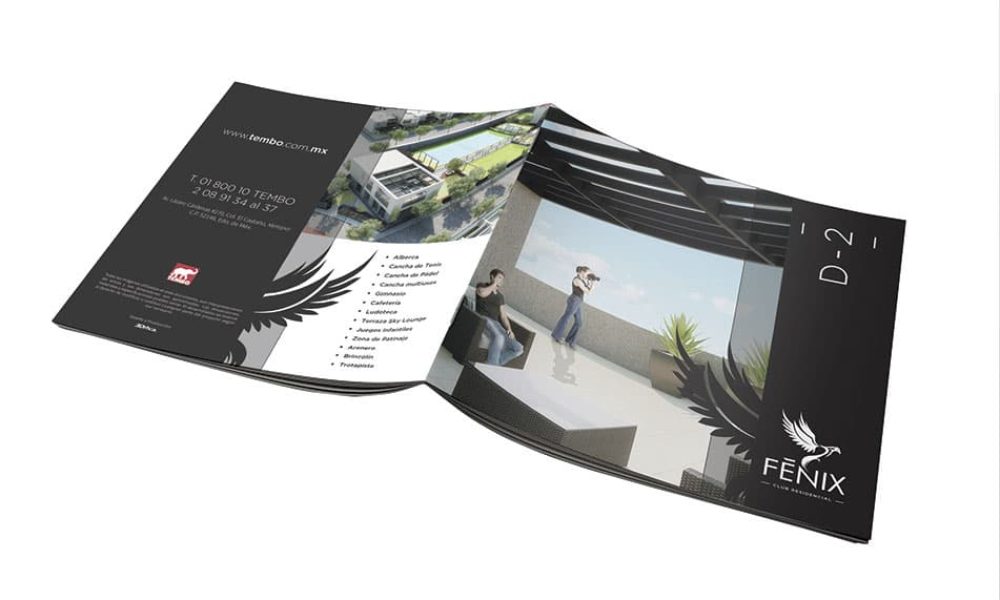 conceptualizacionybranding01143