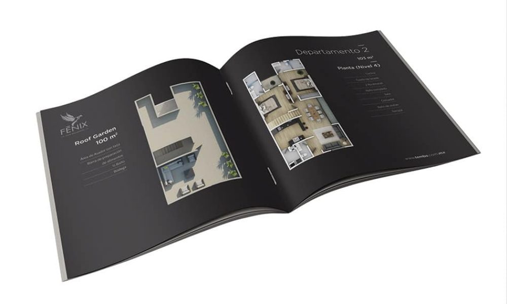 conceptualizacionybranding01144