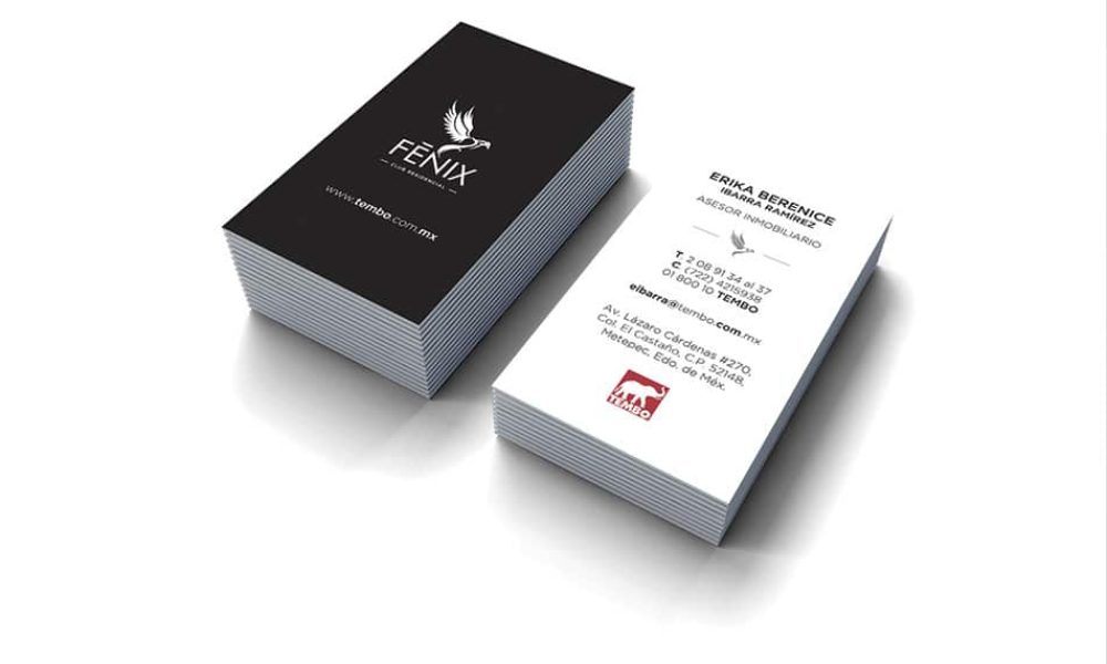 conceptualizacionybranding01148