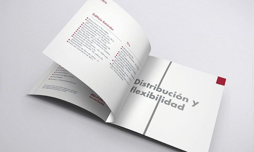 conceptualizacionybranding01174