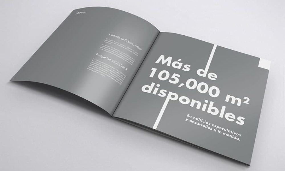 conceptualizacionybranding01175