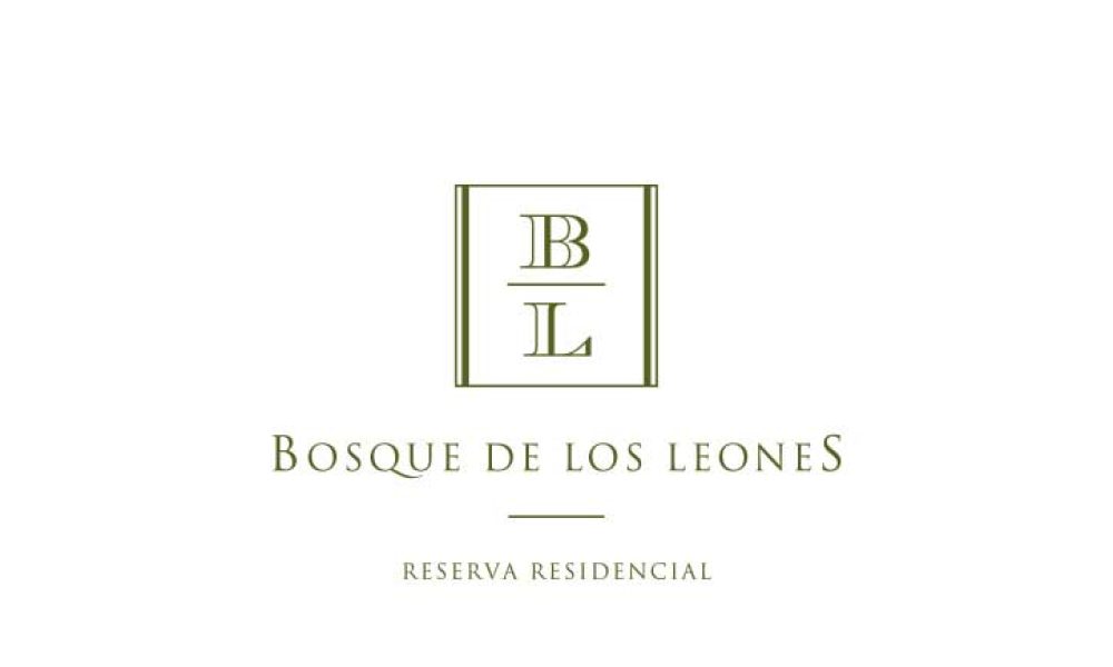 conceptualizacionybranding55701