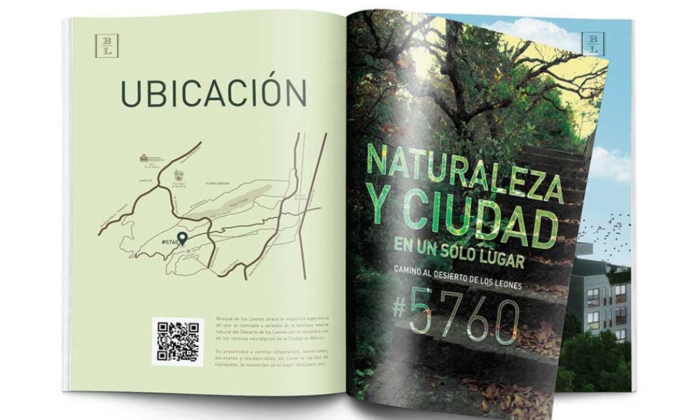 conceptualizacionybranding55702
