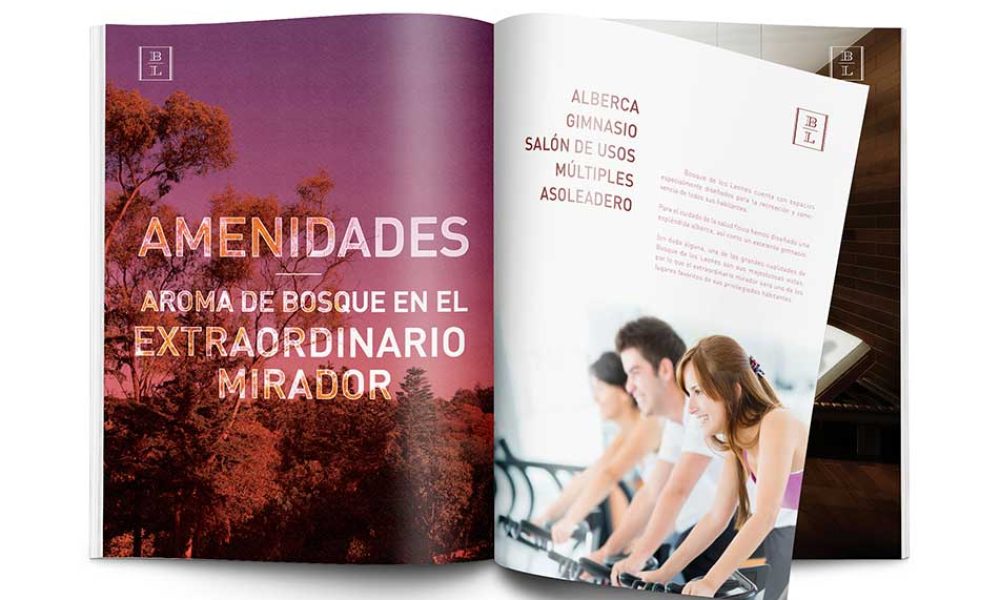 conceptualizacionybranding55703